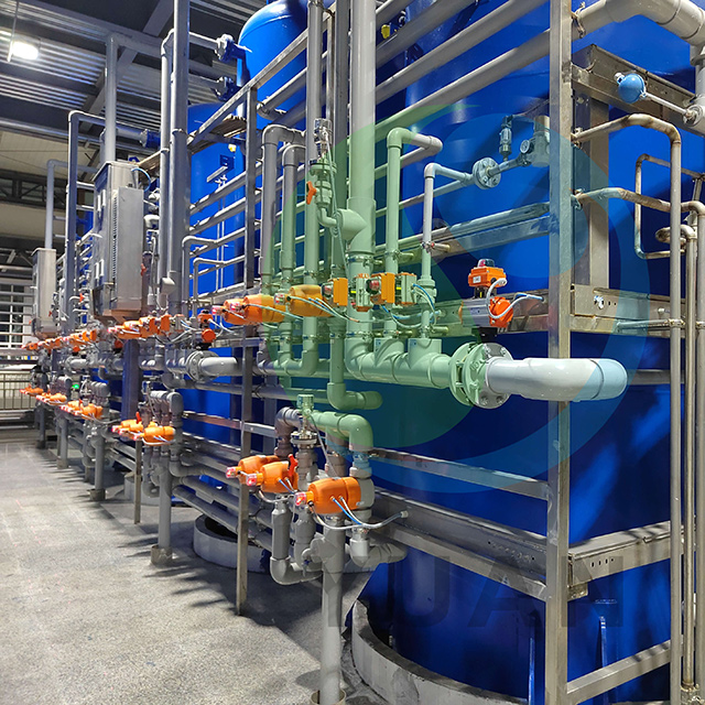 Energiesparende Hochkostenleistung Allulose schlüsselfertiges Projekt