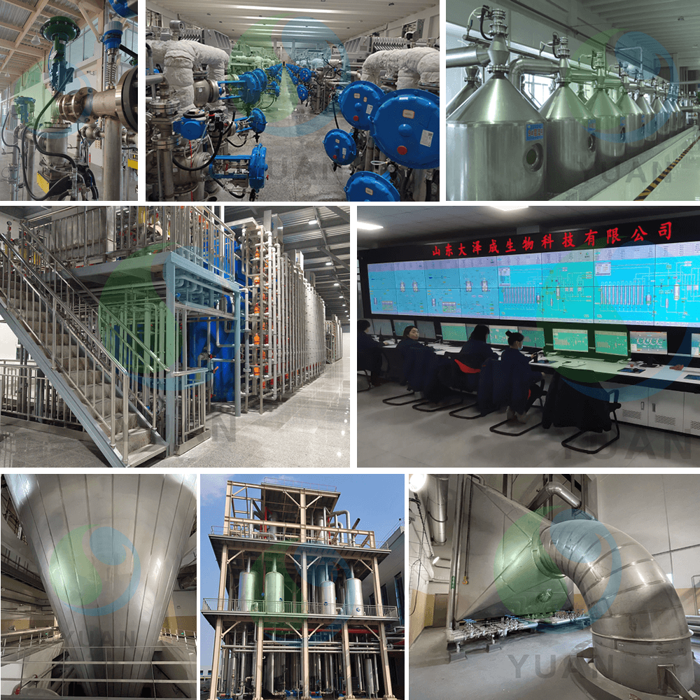 Maltodextrin -Produktionslinie