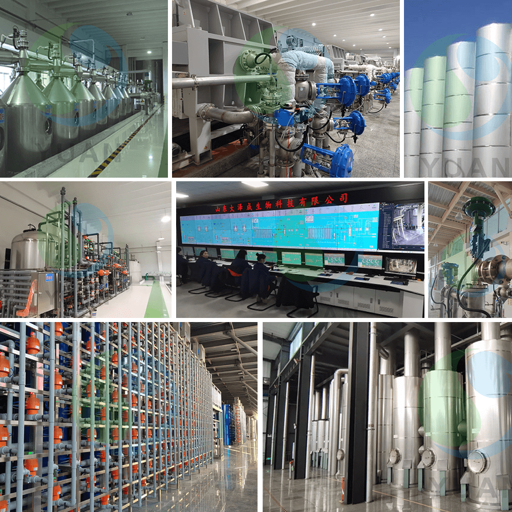 Glukose & Maltose & Reisglukose -Projekt