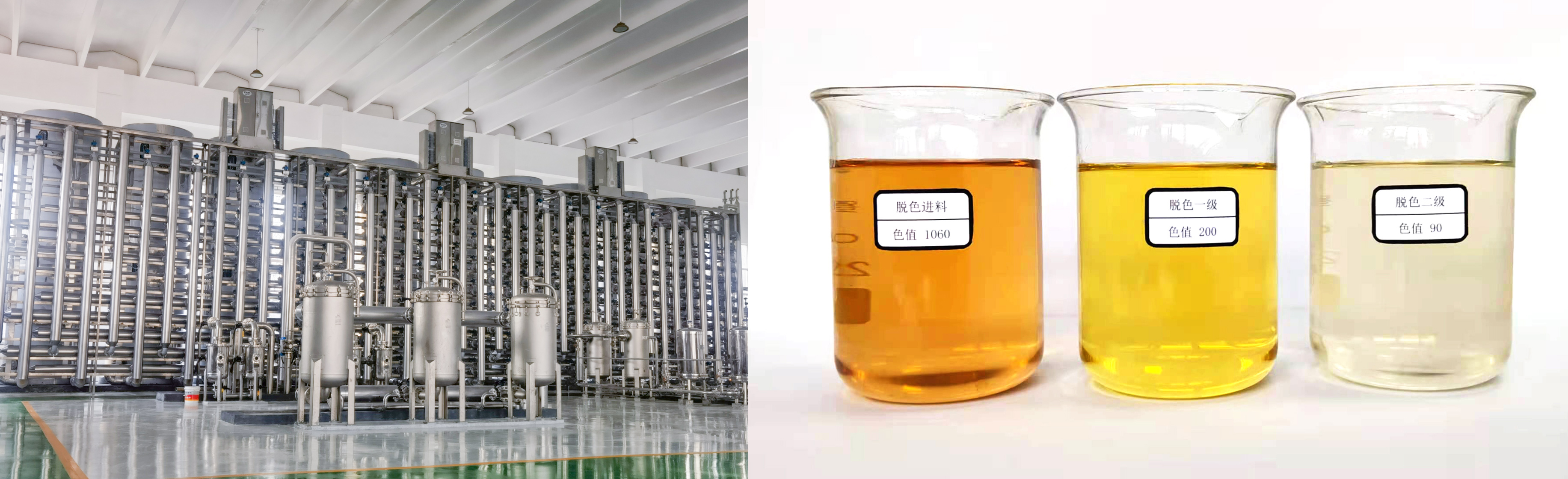 5946395FA9EEAA48551FF642C46025D