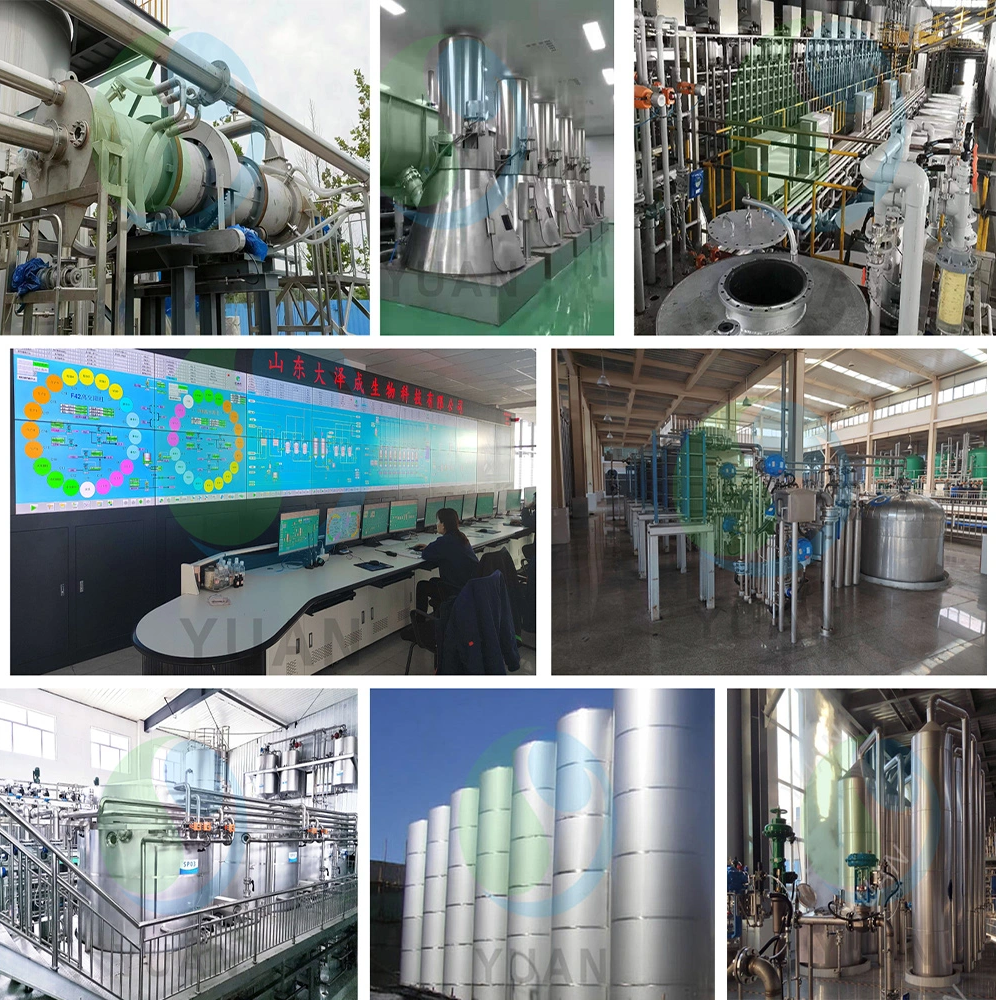 Allulosesproduktionslinie