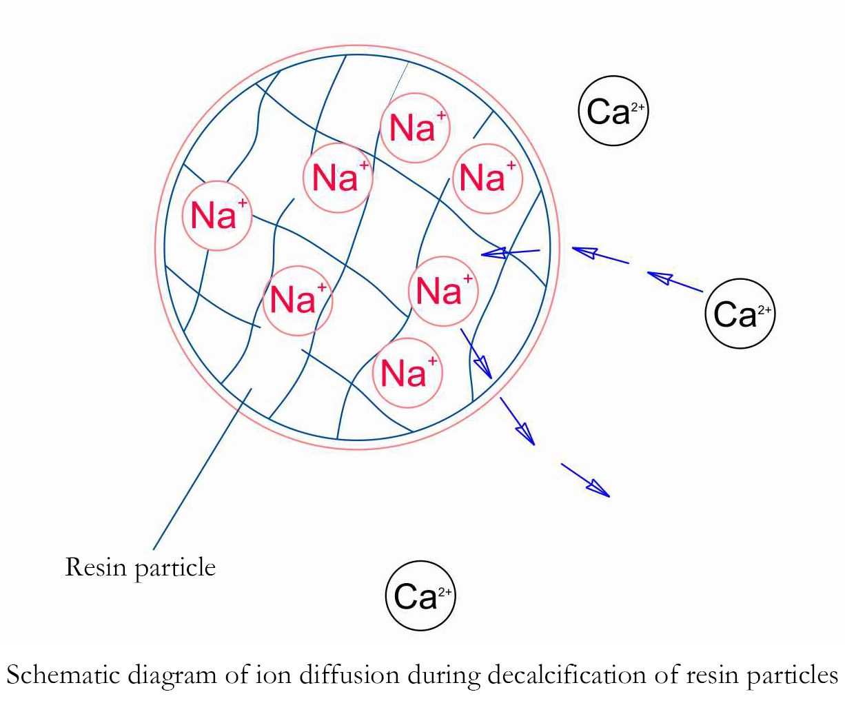 全 自动 脱钙 系统 系统