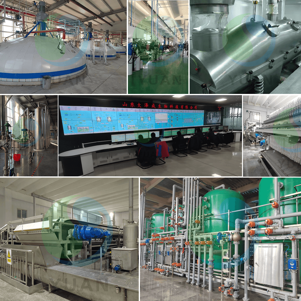 Zitronensäureprojekt