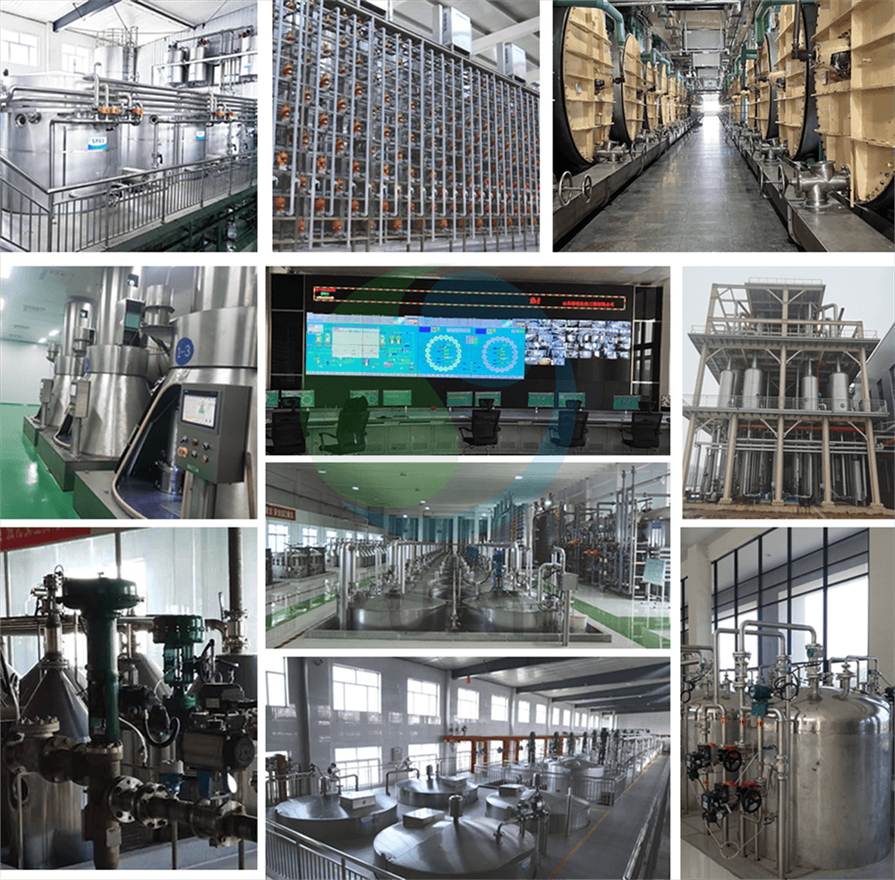 Kristalline Fructose -Projekt