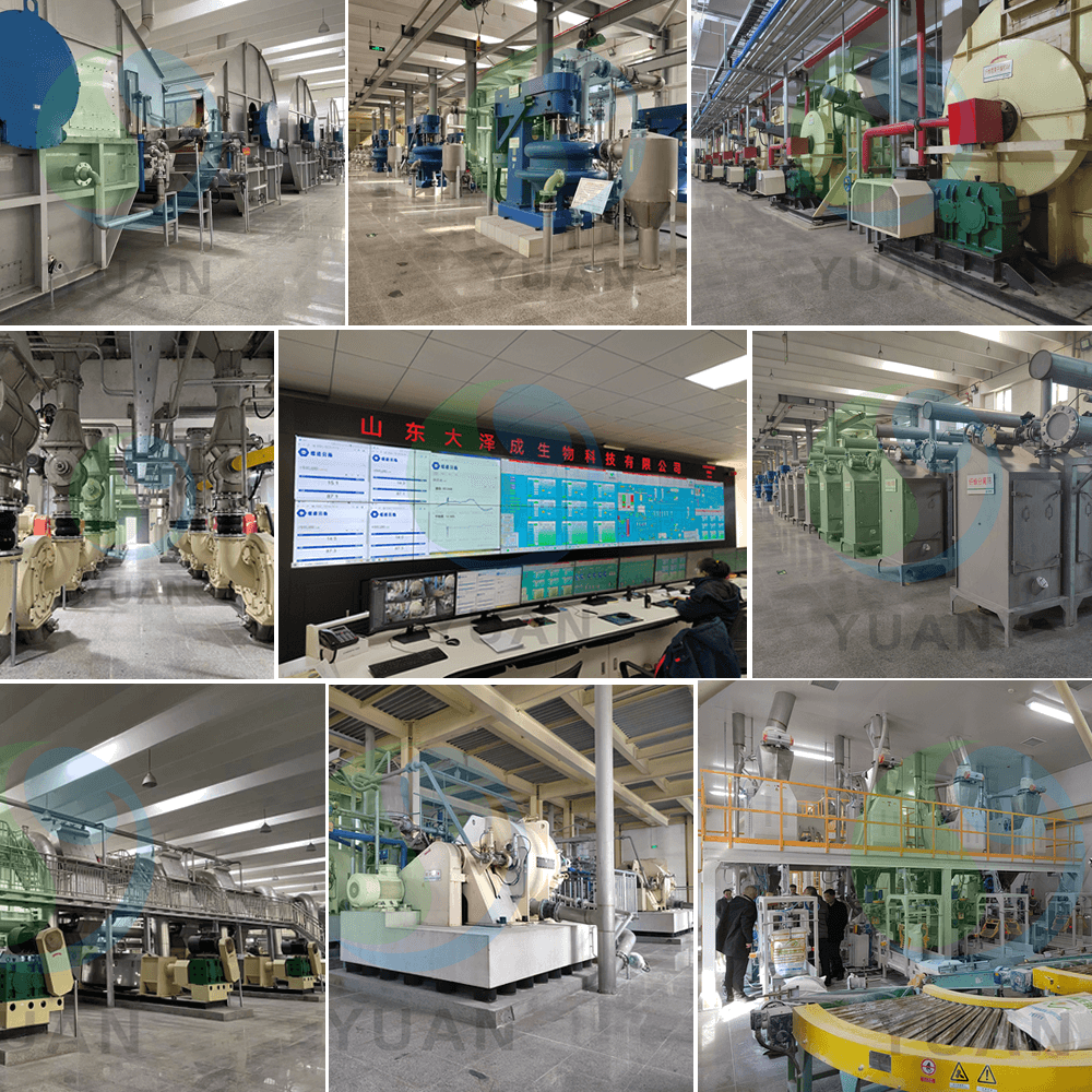 Produktionslinie Maisstärke